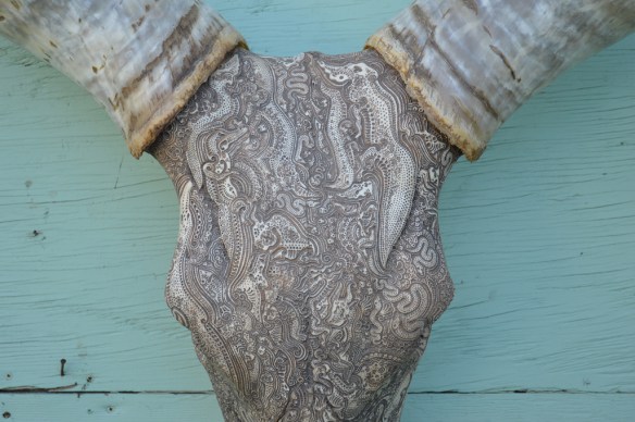 Les gravures d'os de Jason Borders Les gravures d os de Jason Borders 6 Les-gravures-d-os-de-Jason-Borders-6