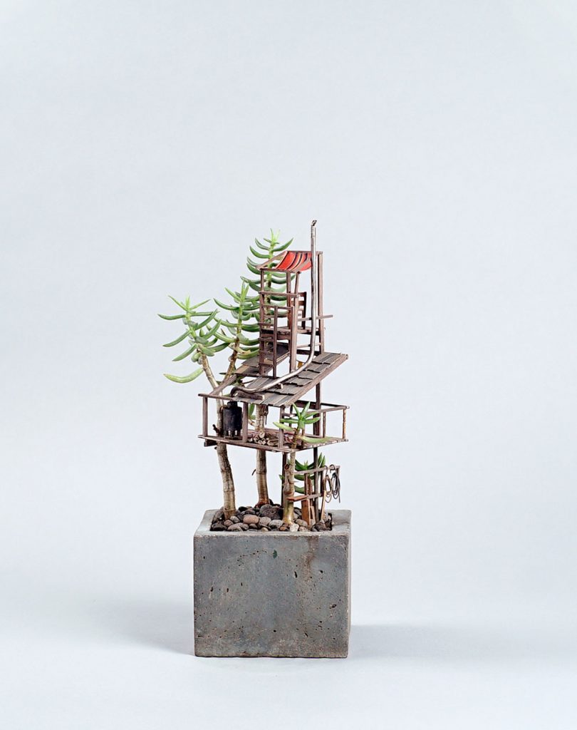 Des cabanes miniatures dans les plantes des cabanes miniatures dans les plantes par Jedediah Corwyn Voltz 3 des-cabanes-miniatures-dans-les-plantes-par-Jedediah-Corwyn-Voltz-3