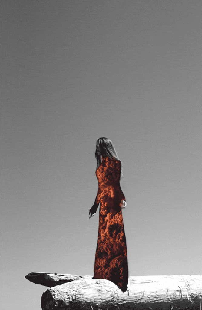 Des GIF double exposition de femmes et de nature GIF double exposition de femmes et de nature par Ayla El Moussa et Lucas Ighile 4 GIF-double-exposition-de-femmes-et-de-nature-par-Ayla-El-Moussa-et-Lucas-Ighile-4