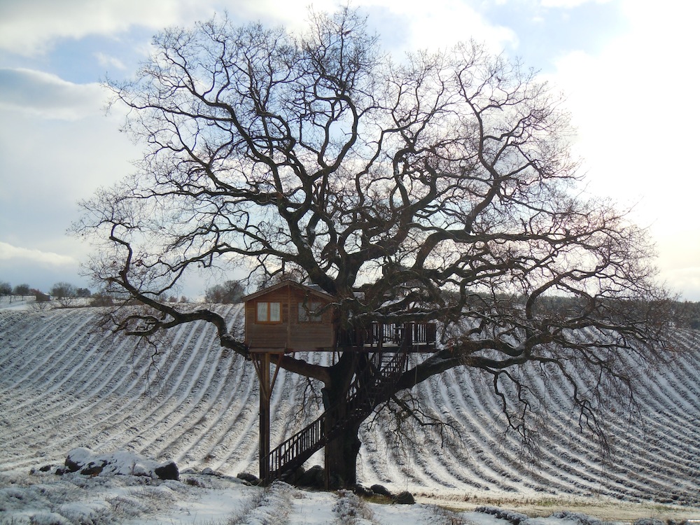 Une cabane dans un arbre au milieu d'un champ de lavande Une cabane dans un arbre au milieu d un champ de lavande suite bleue 2 Une-cabane-dans-un-arbre-au-milieu-d-un-champ-de-lavande-suite-bleue-2