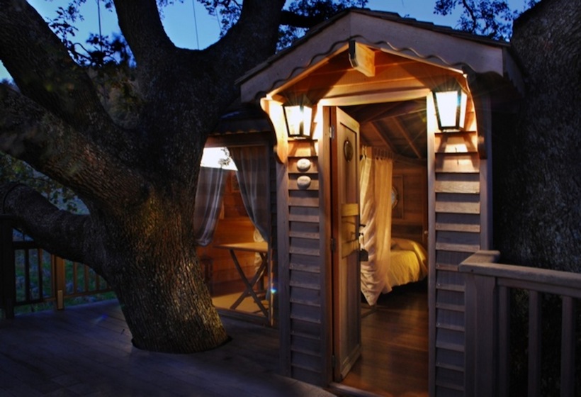 Une cabane dans un arbre au milieu d'un champ de lavande Une cabane dans un arbre au milieu d un champ de lavande suite bleue 6 Une-cabane-dans-un-arbre-au-milieu-d-un-champ-de-lavande-suite-bleue-6