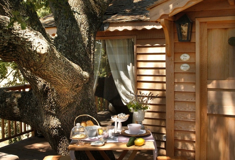 Une cabane dans un arbre au milieu d'un champ de lavande Une cabane dans un arbre au milieu d un champ de lavande suite bleue 7 Une-cabane-dans-un-arbre-au-milieu-d-un-champ-de-lavande-suite-bleue-7