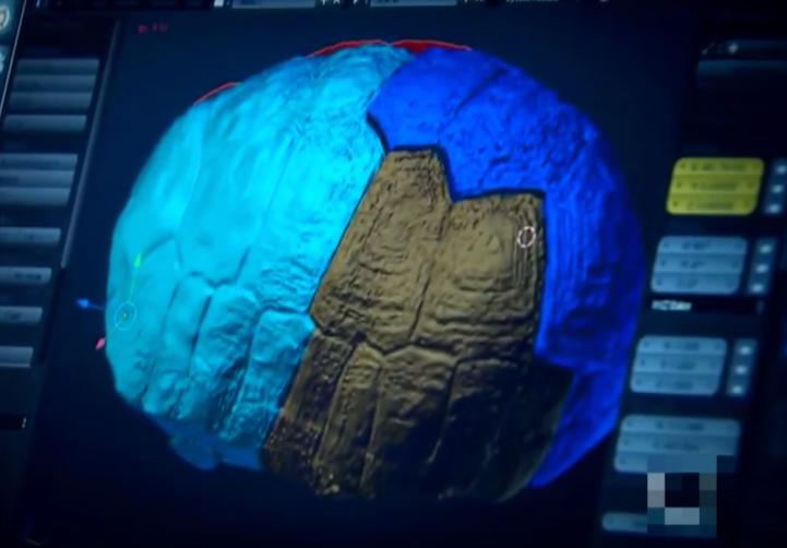 Une tortue avec une carapace en impression 3D une tortue avec une carapace en impression 3D 5 une-tortue-avec-une-carapace-en-impression-3D-5