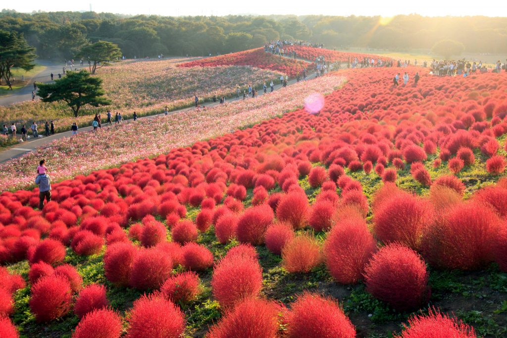 30 raisons de visiter le Japon 30 raisons de visiter le japon hitachi 30-raisons-de-visiter-le-japon-hitachi