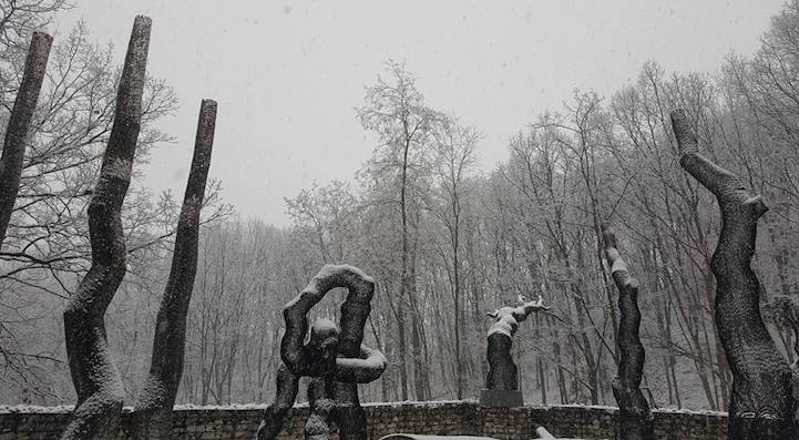 Les arbres métalliques de Lee Gil Rae Les arbres metalliques de Lee Gil Rae 7 Les-arbres-metalliques-de-Lee-Gil-Rae-7