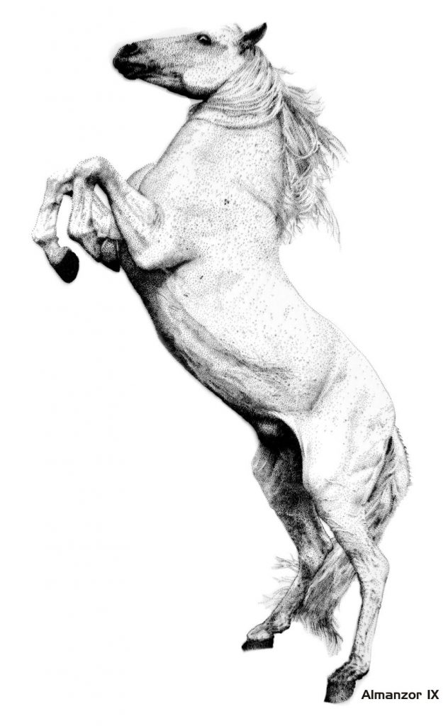 Les portraits de clous de Marcus Levine Les portraits de clous de Marcus Levine 17 almanzor Les-portraits-de-clous-de-Marcus-Levine-17-almanzor