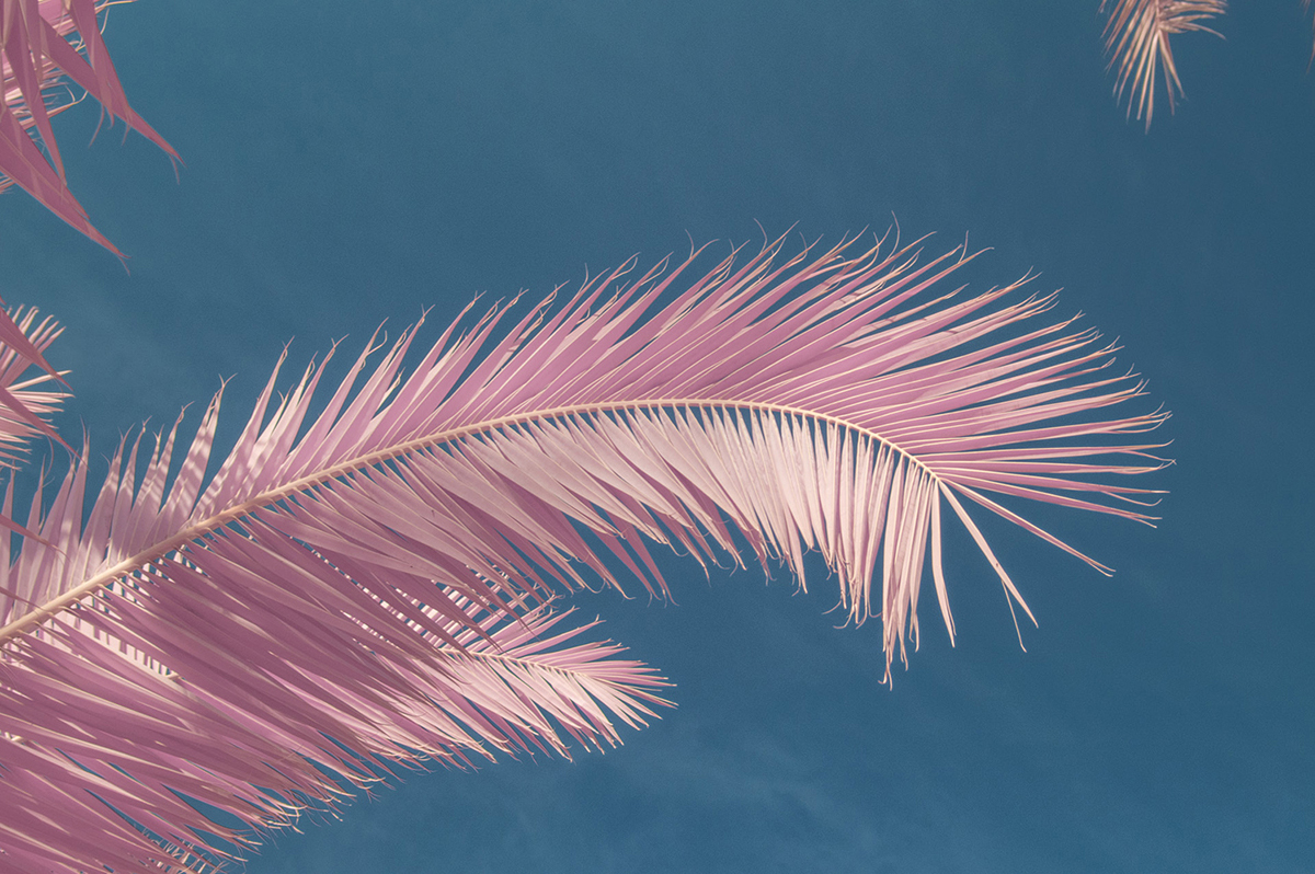 Rome en infra-rouge fait paraitre la ville encore plus merveilleuse Rome en infra rouge fait paraitre la ville encore plus merveilleuse 16 Rome-en-infra-rouge-fait-paraitre-la-ville-encore-plus-merveilleuse-16