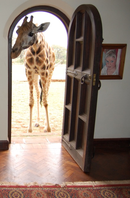 15 restaurants incroyables où il faudrait manger une fois au moins dans sa vie 15 restaurants incroyables 2 girafe Giraffe Manor Langata Kenya 15-restaurants-incroyables-2-girafe-Giraffe-Manor-Langata-Kenya
