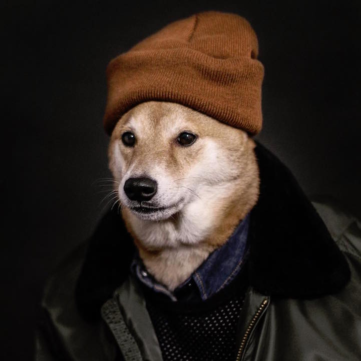 Bodhi - le chien habillé comme un homme qui a du style Bodhi le chien habille comme un homme qui a du style 11 Bodhi-le-chien-habille-comme-un-homme-qui-a-du-style-11