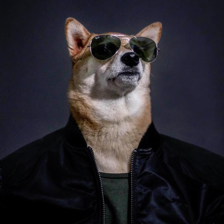 Bodhi - le chien habillé comme un homme qui a du style Bodhi le chien habille comme un homme qui a du style 17 Bodhi-le-chien-habille-comme-un-homme-qui-a-du-style-17