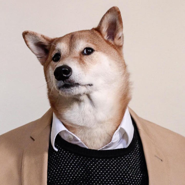 Bodhi - le chien habillé comme un homme qui a du style Bodhi le chien habille comme un homme qui a du style 19 Bodhi-le-chien-habille-comme-un-homme-qui-a-du-style-19