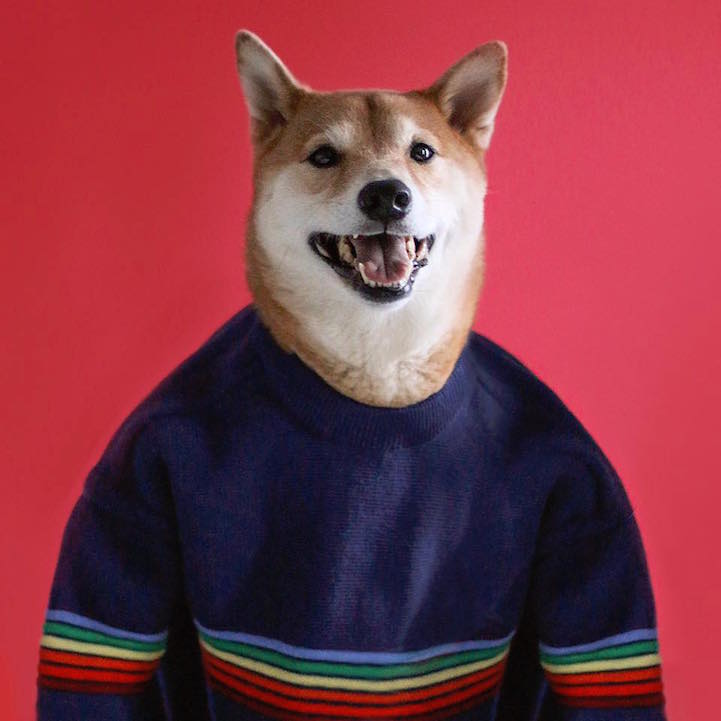 Bodhi - le chien habillé comme un homme qui a du style Bodhi le chien habille comme un homme qui a du style 22 Bodhi-le-chien-habille-comme-un-homme-qui-a-du-style-22