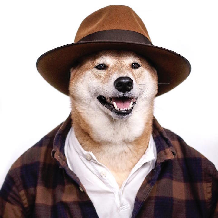 Bodhi - le chien habillé comme un homme qui a du style Bodhi le chien habille comme un homme qui a du style 8 Bodhi-le-chien-habille-comme-un-homme-qui-a-du-style-8