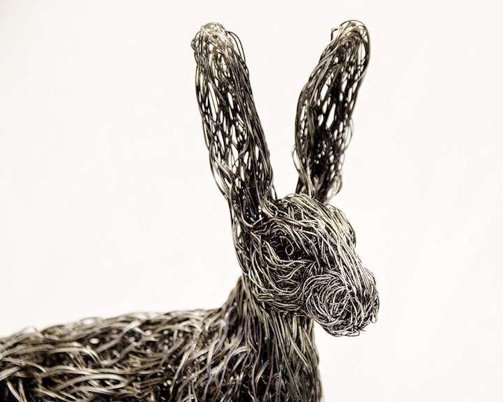 Les sculptures d'animaux en fil de fer de Candice Bees Les sculptures d animaux en fil de fer de Candice Bees 9 Les-sculptures-d-animaux-en-fil-de-fer-de-Candice-Bees-9