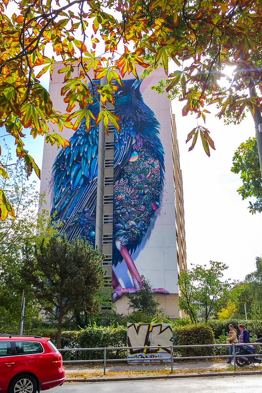 Starling - un gigantesque oiseau en fresque Starling un gigantesque oiseau en fresque 3 Starling-un-gigantesque-oiseau-en-fresque-3