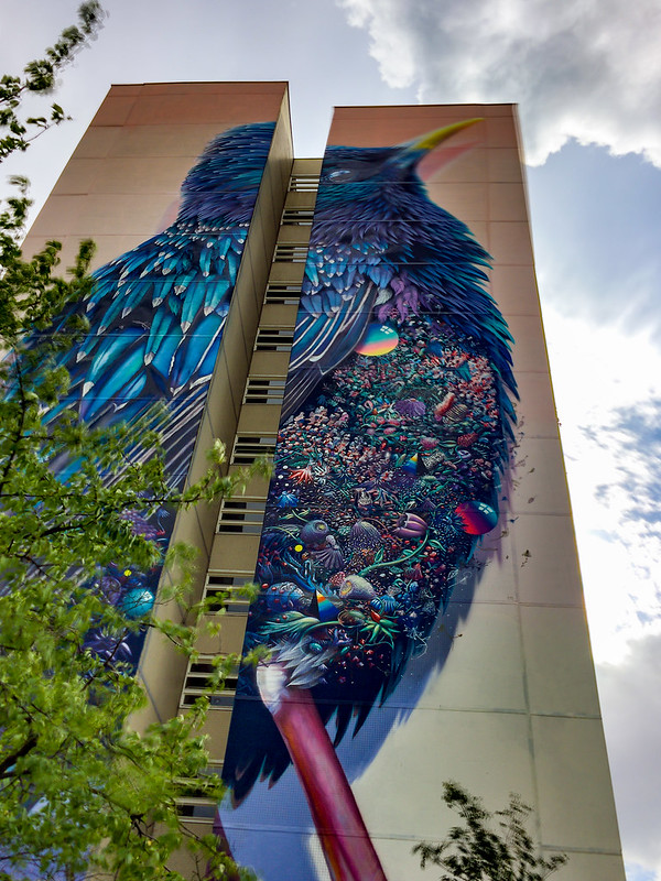 Starling - un gigantesque oiseau en fresque Starling un gigantesque oiseau en fresque 4 Starling-un-gigantesque-oiseau-en-fresque-4