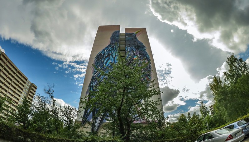 Starling - un gigantesque oiseau en fresque Starling un gigantesque oiseau en fresque 5 Starling-un-gigantesque-oiseau-en-fresque-5