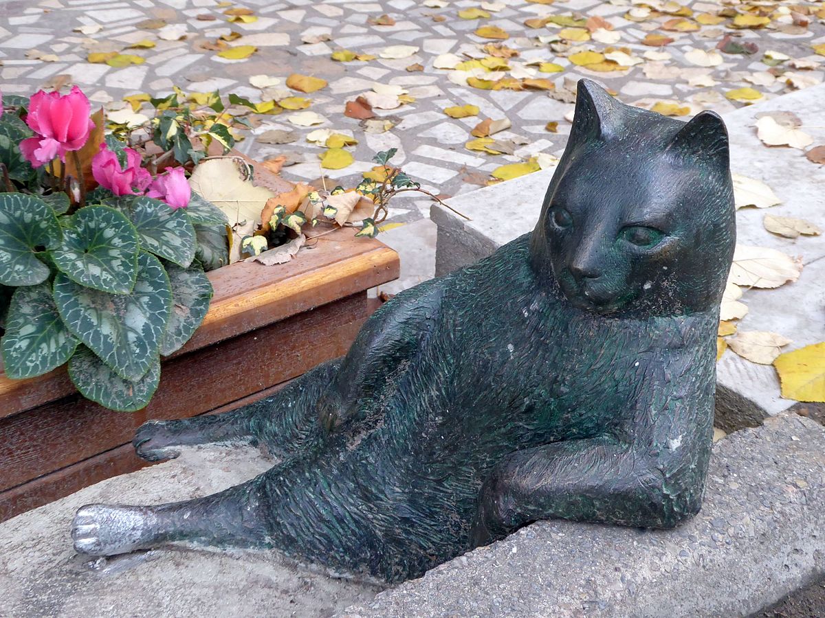 La statue d'un chat dans une posture célèbre à Istanbul La statue d un chat dans une posture celebre Istambul tombili 1 La-statue-d-un-chat-dans-une-posture-celebre-Istambul-tombili-1