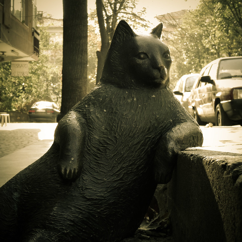 La statue d'un chat dans une posture célèbre à Istanbul La statue d un chat dans une posture celebre Istambul tombili 3 La-statue-d-un-chat-dans-une-posture-celebre-Istambul-tombili-3