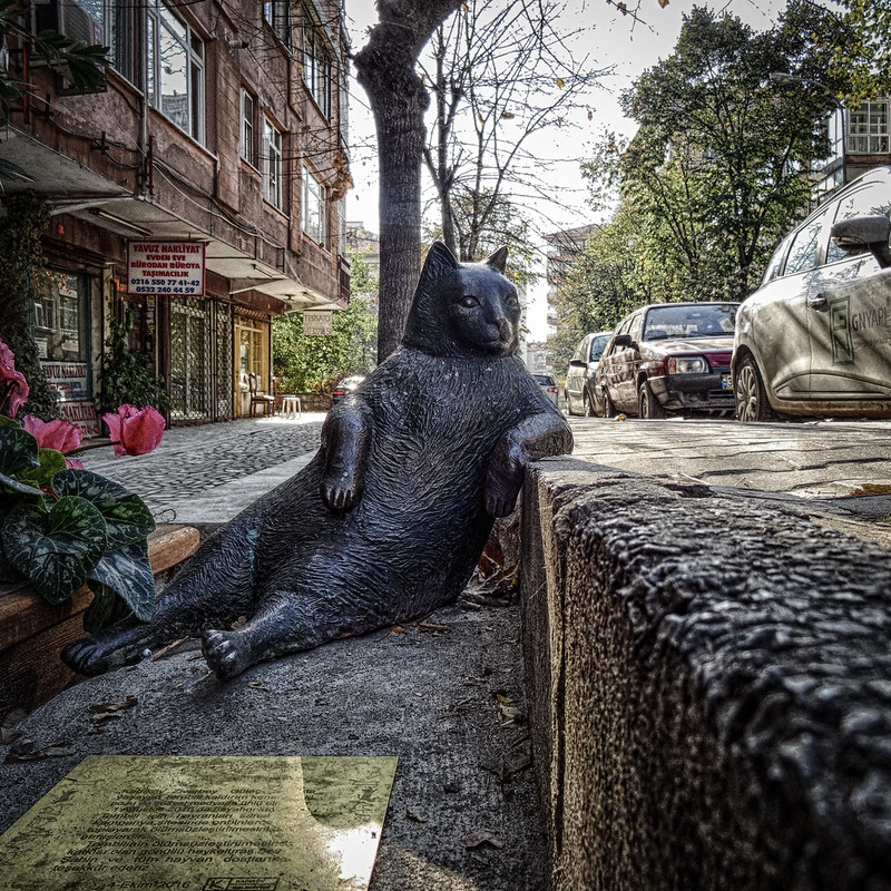 La statue d'un chat dans une posture célèbre à Istanbul La statue d un chat dans une posture celebre Istambul tombili 4 La-statue-d-un-chat-dans-une-posture-celebre-Istambul-tombili-4