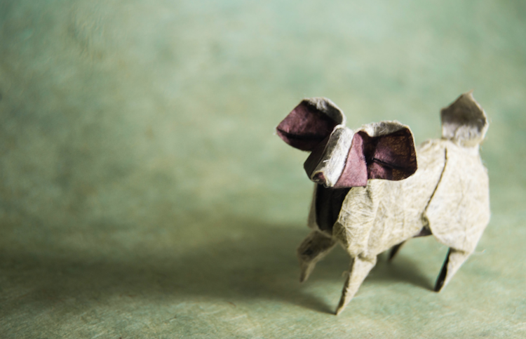 Les incroyables origami de Gonzalo Garcia Calvo nouveaux origamis d animaux par Gonzalo Garcia Calvo 13 nouveaux-origamis-d-animaux-par-gonzalo-garcia-calvo-13