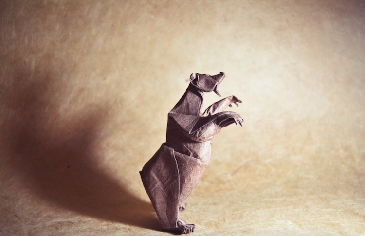 Les incroyables origami de Gonzalo Garcia Calvo nouveaux origamis d animaux par Gonzalo Garcia Calvo 5 nouveaux-origamis-d-animaux-par-gonzalo-garcia-calvo-5 ours