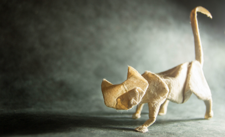 Les incroyables origami de Gonzalo Garcia Calvo nouveaux origamis d animaux par Gonzalo Garcia Calvo 6 nouveaux-origamis-d-animaux-par-gonzalo-garcia-calvo-6 chat