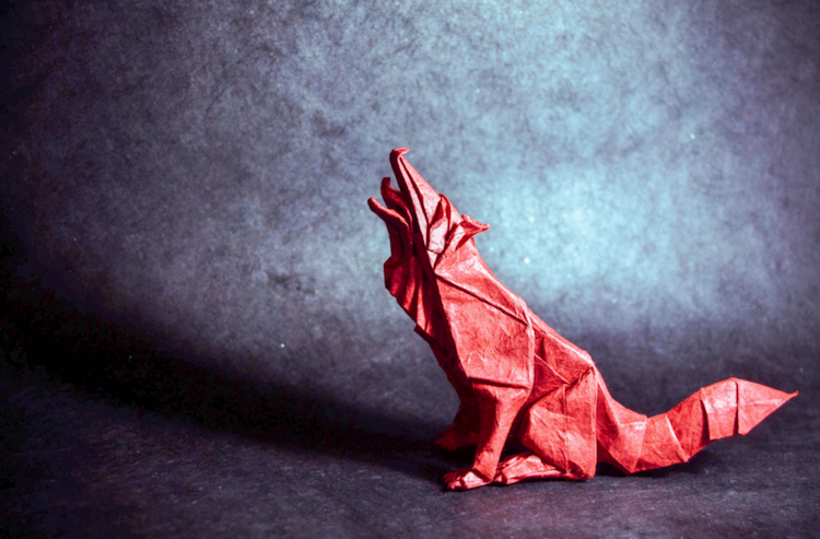 Les incroyables origami de Gonzalo Garcia Calvo nouveaux origamis d animaux par Gonzalo Garcia Calvo 7 nouveaux-origamis-d-animaux-par-gonzalo-garcia-calvo-7 loup