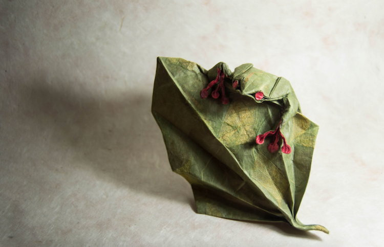 Les incroyables origami de Gonzalo Garcia Calvo nouveaux origamis d animaux par Gonzalo Garcia Calvo 8 nouveaux-origamis-d-animaux-par-gonzalo-garcia-calvo-8 grnouille