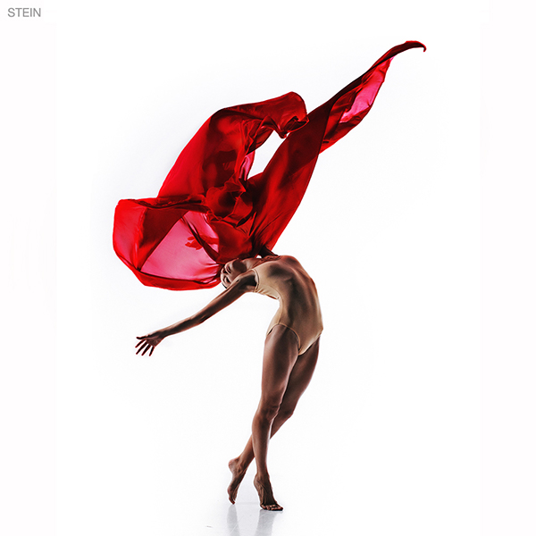 Quand un sculpteur fait des photos de danseurs en mouvement quand un sculpteur fait des photos de danseurs en mouvement vadim stein 10 quand-un-sculpteur-fait-des-photos-de-danseurs-en-mouvement-vadim-stein-10