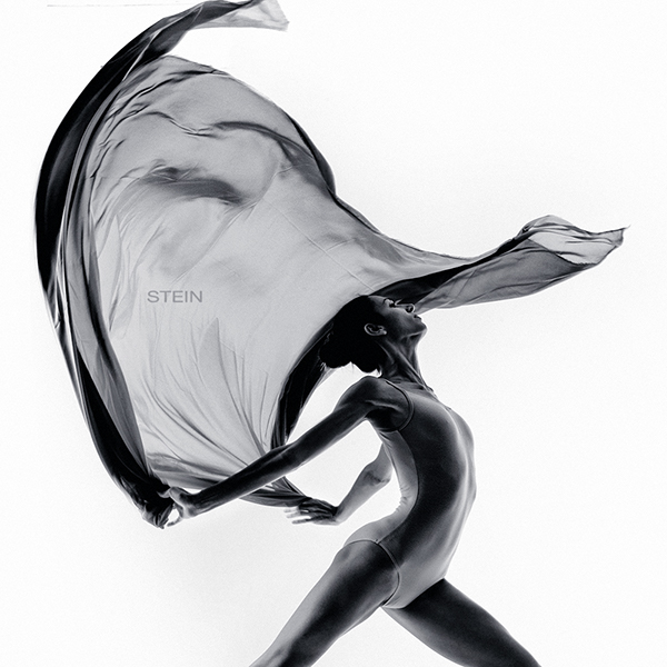 Quand un sculpteur fait des photos de danseurs en mouvement quand un sculpteur fait des photos de danseurs en mouvement vadim stein 9 quand-un-sculpteur-fait-des-photos-de-danseurs-en-mouvement-vadim-stein-9