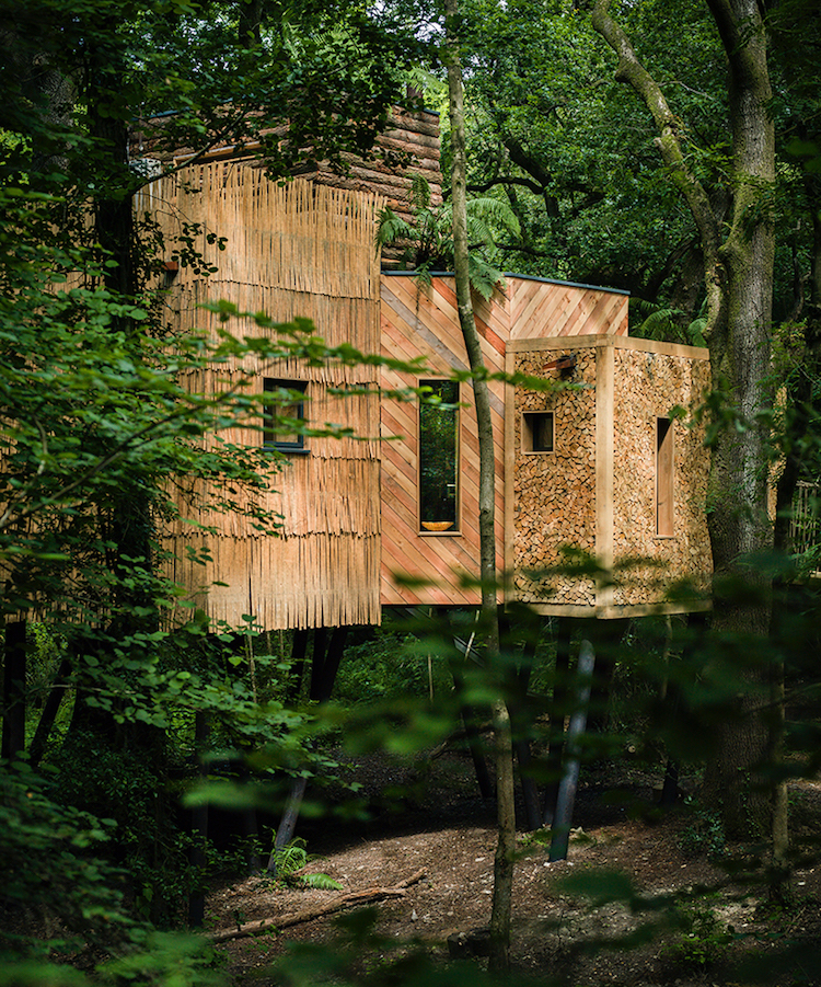 Une luxueuse cabane dans les arbres dans les bois de Dorset une luxueuse cabane dans les arbres dans les bois de Dorset 15 une-luxueuse-cabane-dans-les-arbres-dans-les-bois-de-dorset-15