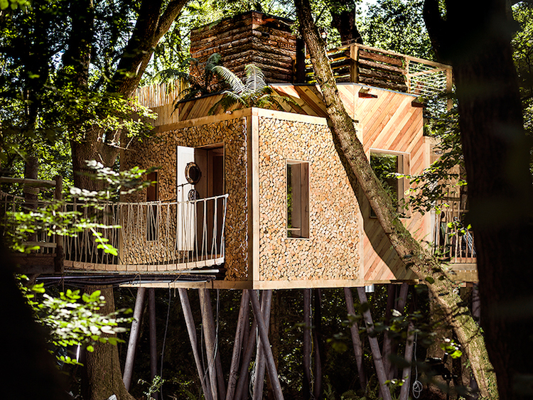 Une luxueuse cabane dans les arbres dans les bois de Dorset une luxueuse cabane dans les arbres dans les bois de Dorset 2 une-luxueuse-cabane-dans-les-arbres-dans-les-bois-de-dorset-2