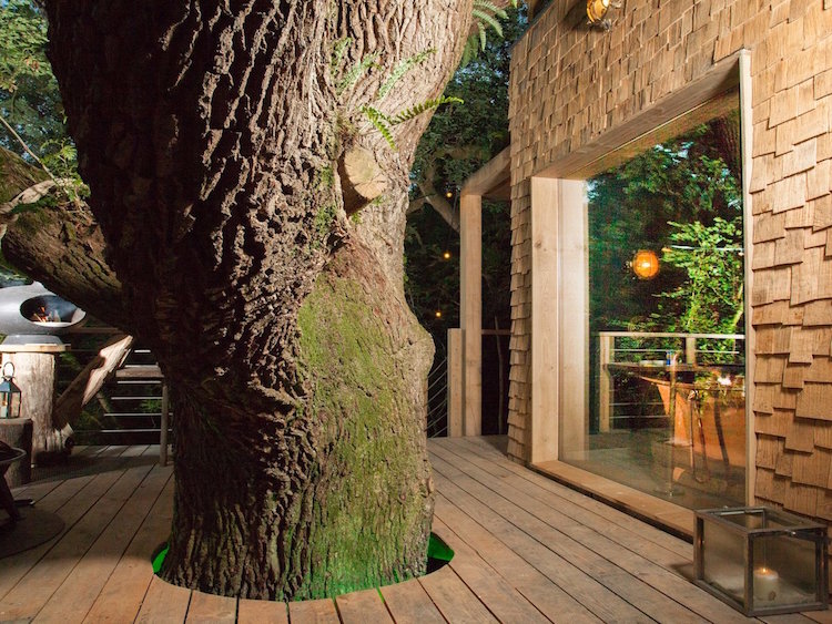 Une luxueuse cabane dans les arbres dans les bois de Dorset une luxueuse cabane dans les arbres dans les bois de Dorset 3 une-luxueuse-cabane-dans-les-arbres-dans-les-bois-de-dorset-3