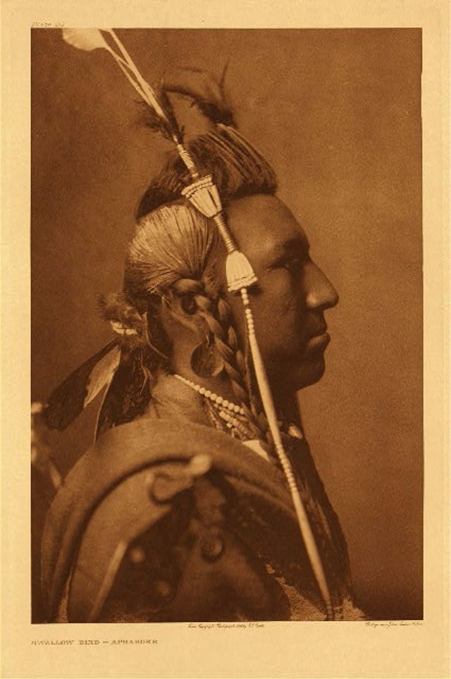 40 portraits d'amérindiens du début du 20ème siècle par Edward S. Curtis 40 portraits d amerindiens du debut du 20eme siecle par Edward S Curtis 15 40-portraits-d-amerindiens-du-debut-du-20eme-siecle-par-edward-s-curtis-15