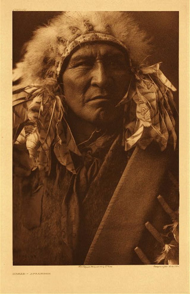 40 portraits d'amérindiens du début du 20ème siècle par Edward S. Curtis 40 portraits d amerindiens du debut du 20eme siecle par Edward S Curtis 17 40-portraits-d-amerindiens-du-debut-du-20eme-siecle-par-edward-s-curtis-17