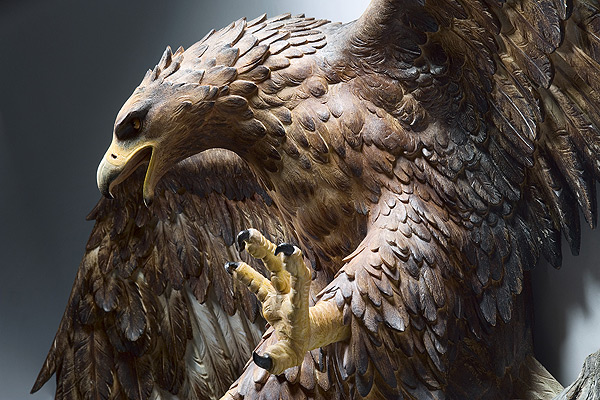 Les sculptures d'animaux réalistes de bois de Guiseppe Rumerio sculptures d animaux realistes de bois de Guiseppe Rumerio 13 sculptures-d-animaux-realistes-de-bois-de-guiseppe-rumerio-13