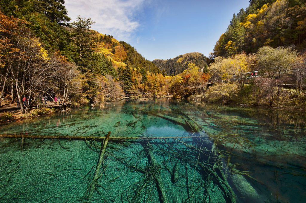 11 forêts magiques mais réelles bien qu'elles semblent issues d'un conte de fée 11 forets magiques mais reelles bien qu elles semblent issues d un conte de fee 1 foret Jiuzhaigou 11-forets-magiques-mais-reelles-bien-qu-elles-semblent-issues-d-un-conte-de-fee-1-foret-Jiuzhaigou