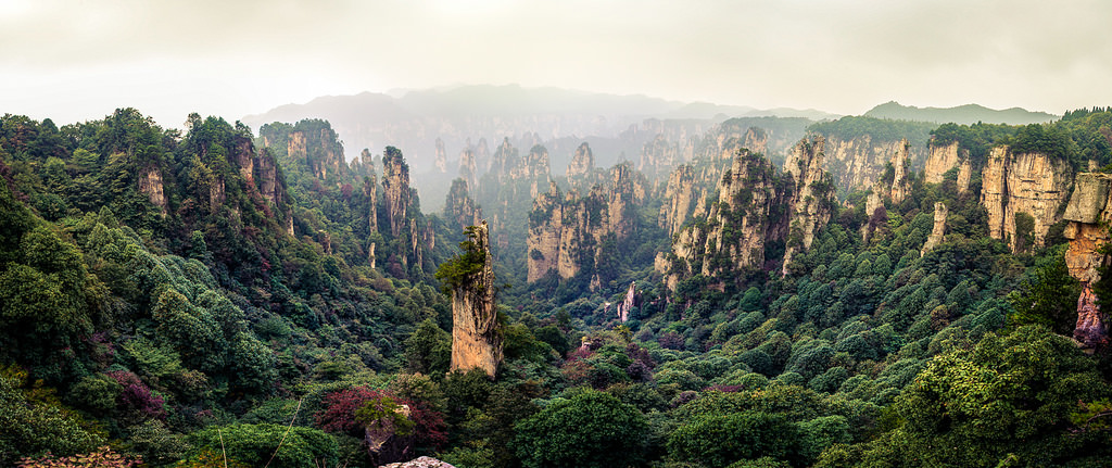 11 forêts magiques mais réelles bien qu'elles semblent issues d'un conte de fée 11 forets magiques mais reelles bien qu elles semblent issues d un conte de fee 11 zhangjiajie 11-forets-magiques-mais-reelles-bien-qu-elles-semblent-issues-d-un-conte-de-fee-11-zhangjiajie