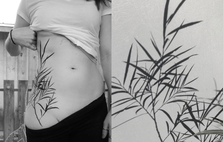 Les tatouages d'ombres de plantes de Tedd Hucks Les tatouages d ombres de plantes de Tedd Hucks 2 Les tatouages d ombres de plantes de Tedd Hucks 2