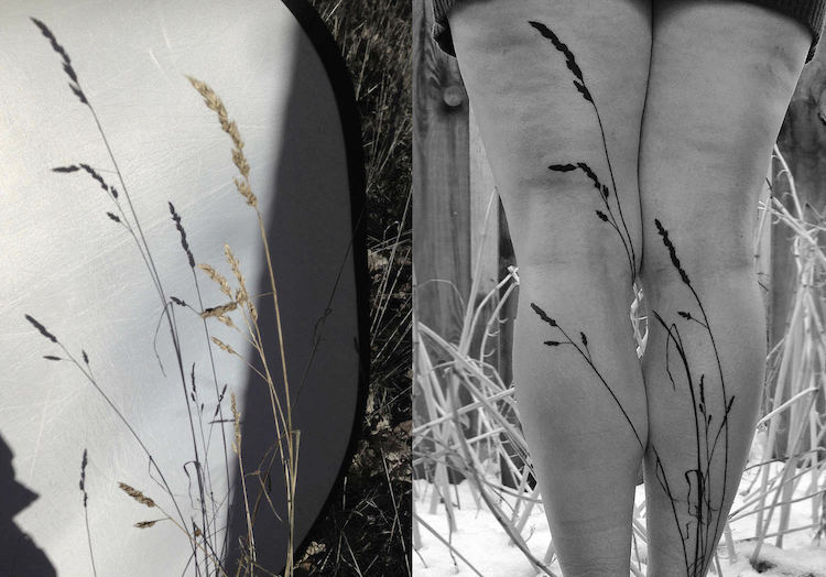 Les tatouages d'ombres de plantes de Tedd Hucks Les tatouages d ombres de plantes de Tedd Hucks 4 Les tatouages d ombres de plantes de Tedd Hucks 4