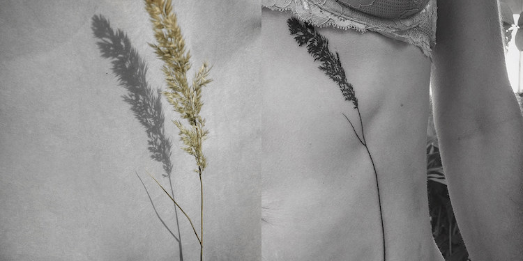 Les tatouages d'ombres de plantes de Tedd Hucks Les tatouages d ombres de plantes de Tedd Hucks 5 Les tatouages d ombres de plantes de Tedd Hucks 5