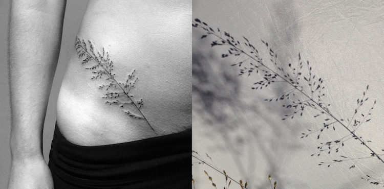 Les tatouages d'ombres de plantes de Tedd Hucks Les tatouages d ombres de plantes de Tedd Hucks 6 Les tatouages d ombres de plantes de Tedd Hucks 6