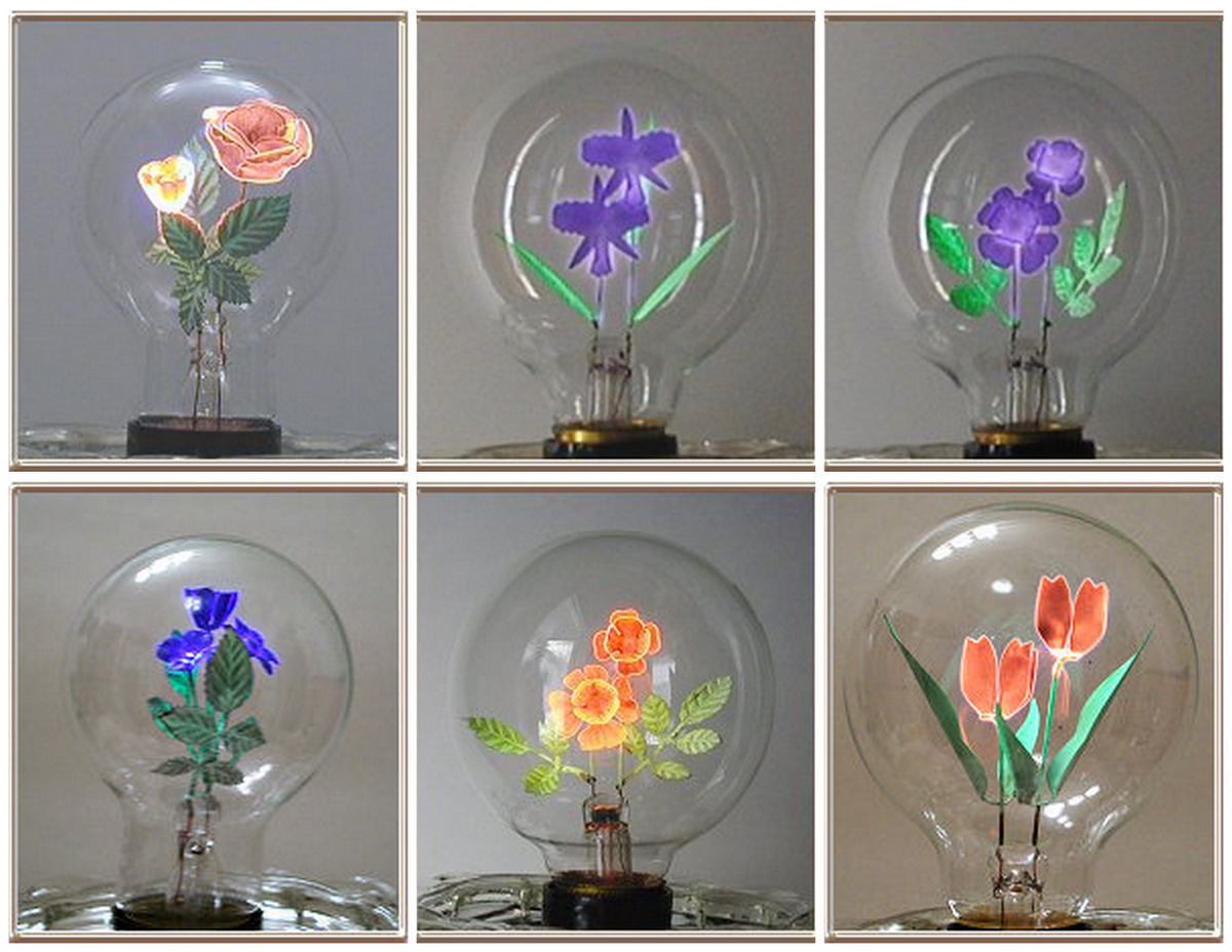 Ampoules décoratives Aerolux vintage Collection d’ampoules Aerolux vintage avec fleurs et motifs figuratifs lumineux