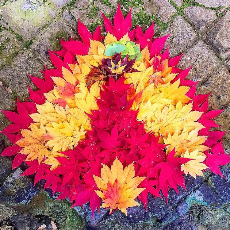 L'art Ochiba ou l'art des feuilles mortes l art Ochiba ou l art des feuilles mortes 2 l art Ochiba ou l art des feuilles mortes 2