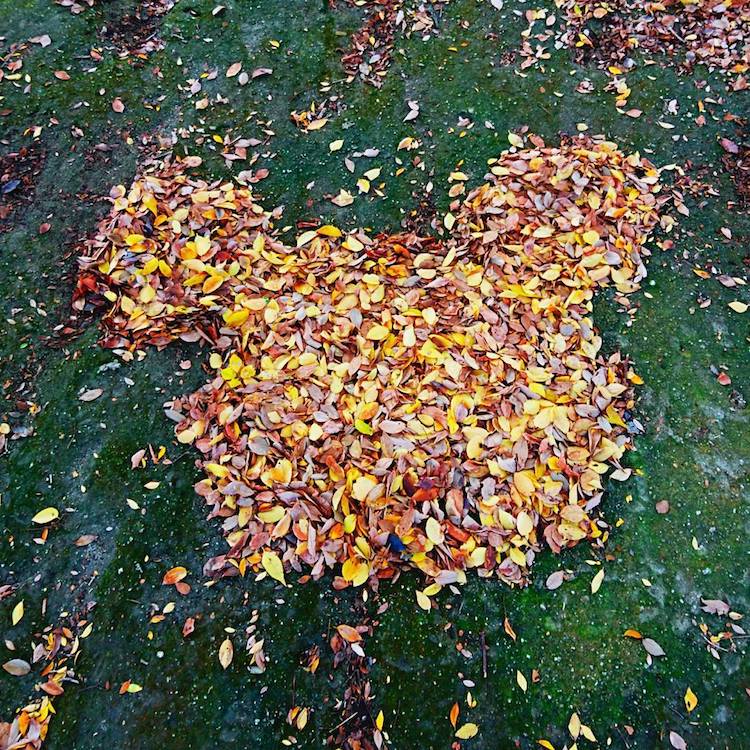 L'art Ochiba ou l'art des feuilles mortes l art Ochiba ou l art des feuilles mortes 8 l art Ochiba ou l art des feuilles mortes 8