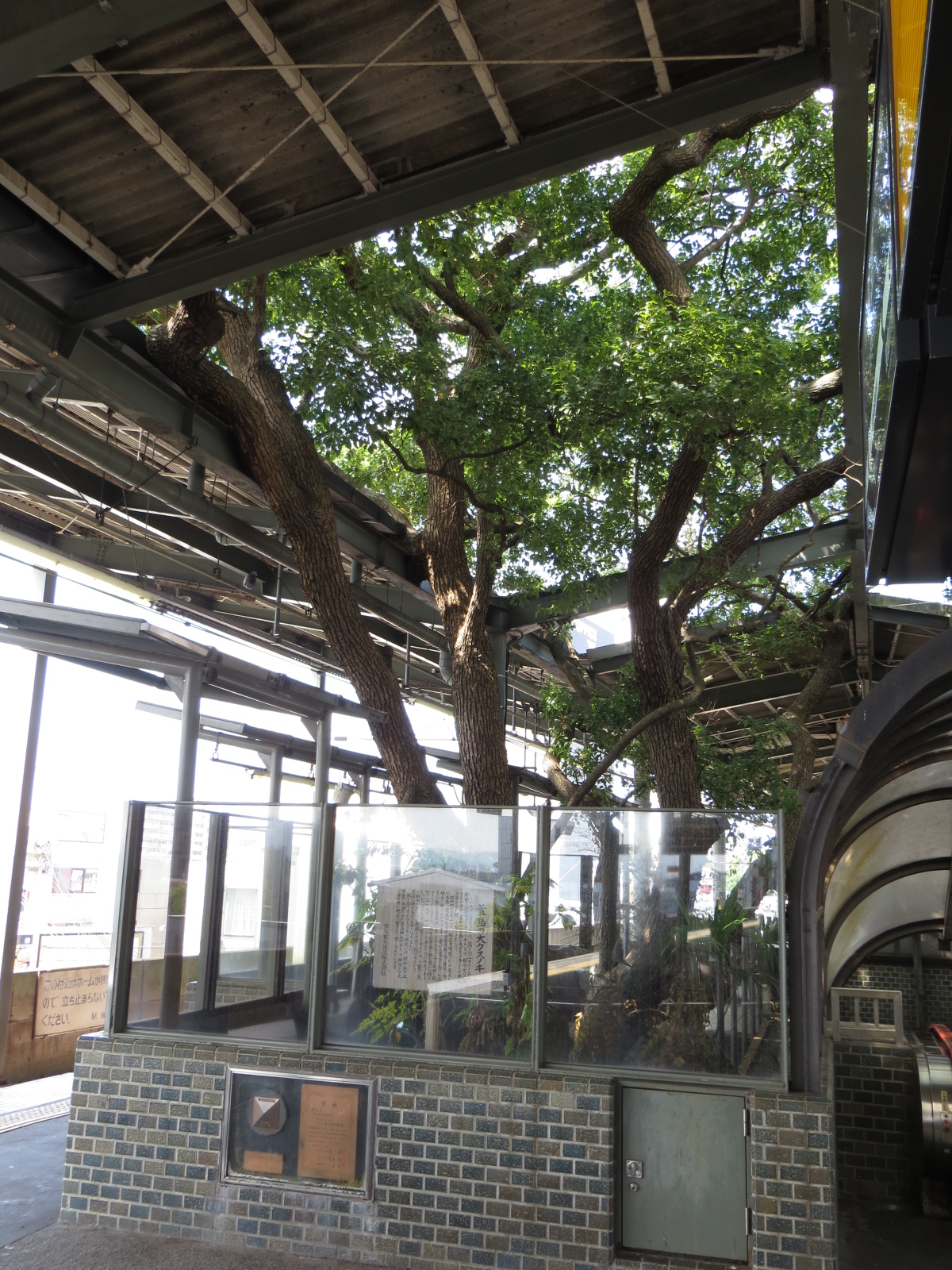 Kayashima, la gare construite autour d'un arbre de 700 ans Kayashima la gare construite autour d un arbre de 700 ans 1 1 Kayashima-la-gare-construite-autour-d-un-arbre-de-700-ans-1-1.