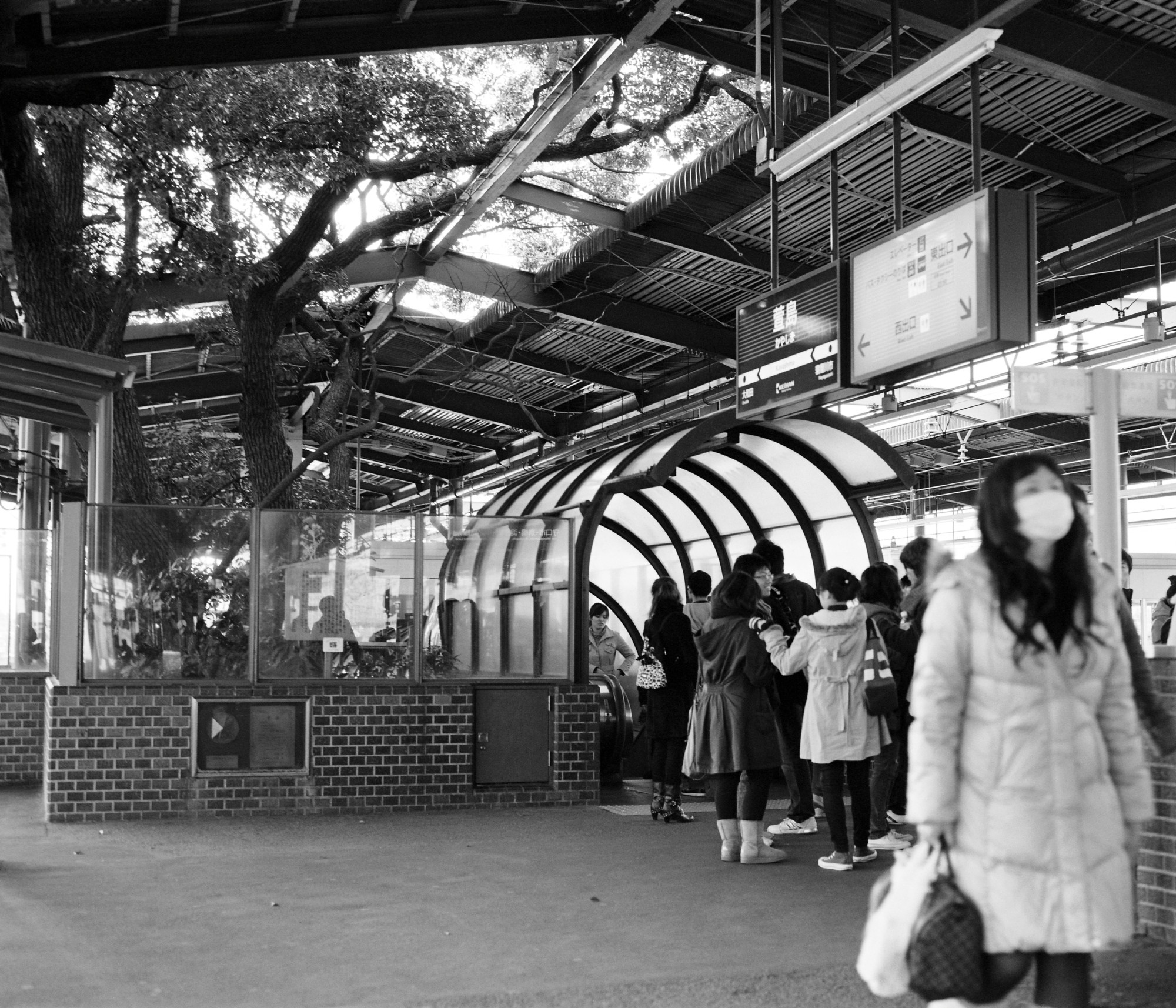 Kayashima, la gare construite autour d'un arbre de 700 ans Kayashima la gare construite autour d un arbre de 700 ans 6 Kayashima-la-gare-construite-autour-d-un-arbre-de-700-ans-6