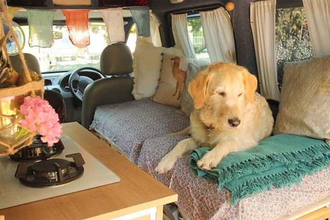 Elle transforme un vieux Kangoo en camping car pour voyager avec son chien La voyageuse italienne Marina Piro a transforme un un vieux kangoo en camping car pour pouvoir voyager avec son chien Odie 12 La voyageuse italienne Marina Piro a transforme un un vieux kangoo en camping car pour pouvoir voyager avec son chien Odie 12
