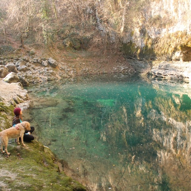 Elle transforme un vieux Kangoo en camping car pour voyager avec son chien La voyageuse italienne Marina Piro a transforme un un vieux kangoo en camping car pour pouvoir voyager avec son chien Odie 17 La voyageuse italienne Marina Piro a transforme un un vieux kangoo en camping car pour pouvoir voyager avec son chien Odie 17